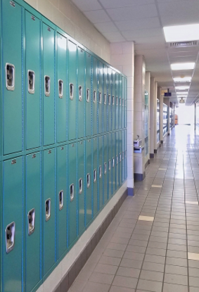 Picture of Integrated Pest Management for Bed Bugs in Schools