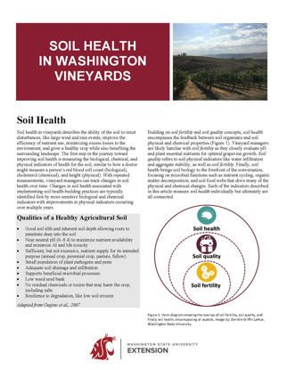 Picture of Soil Health in Washington Vineyards